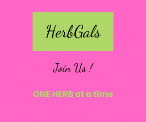 Herb Gals Discussion Group