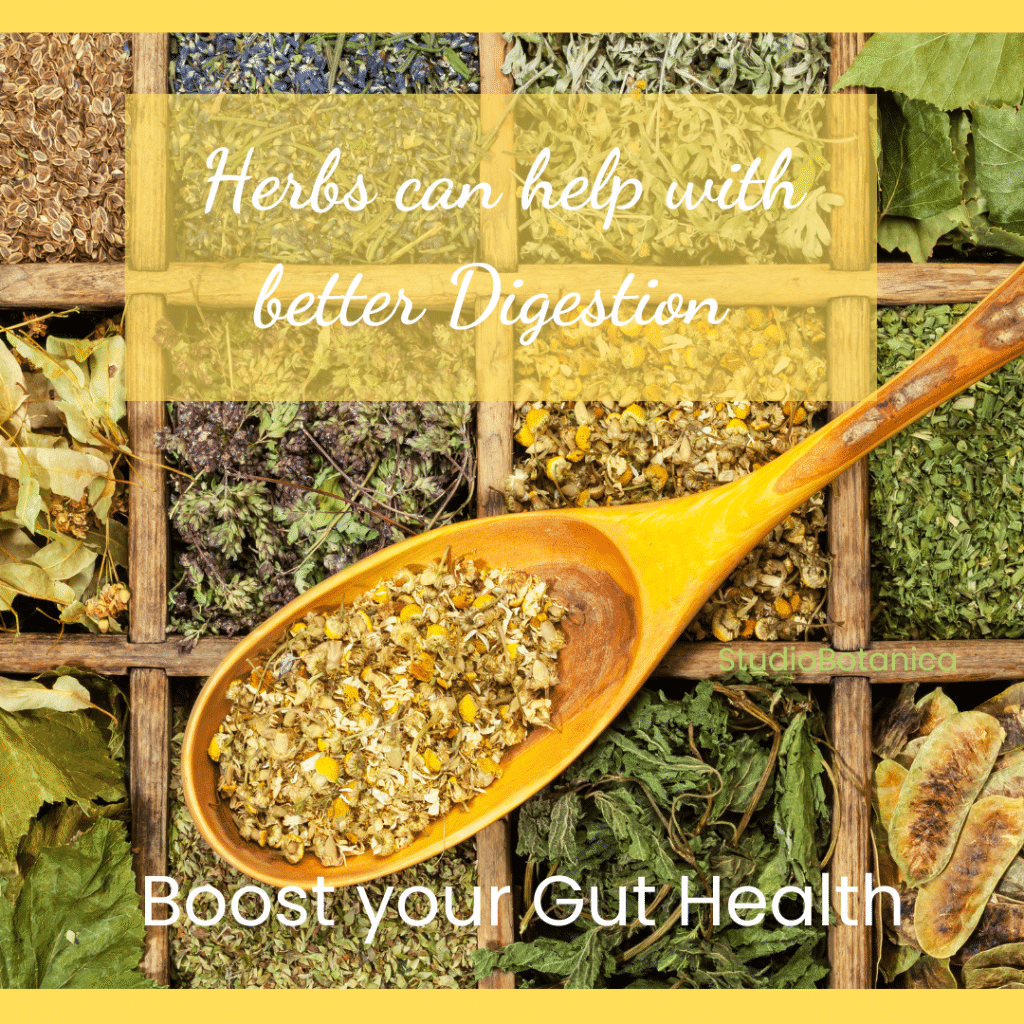 boost your gut health