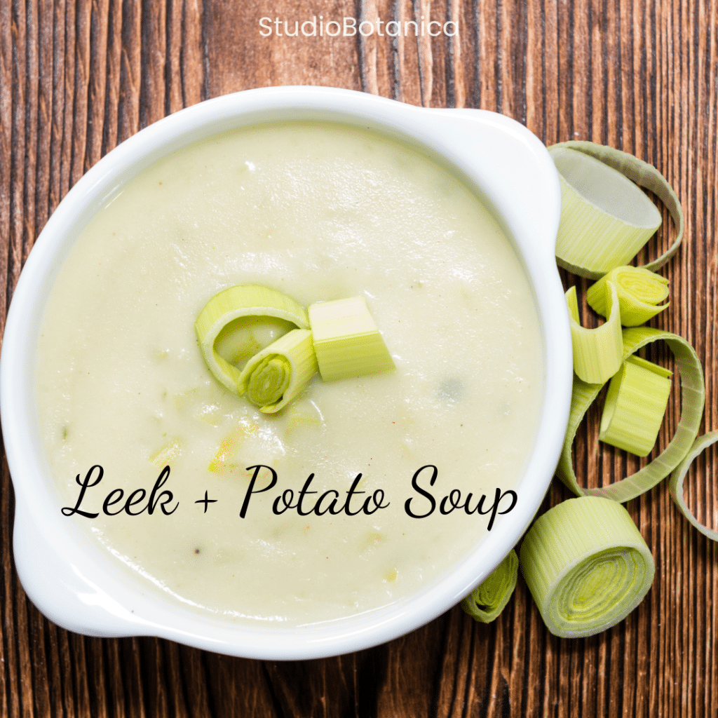 Nutritious Leeks ~ Leek + Potato Soup