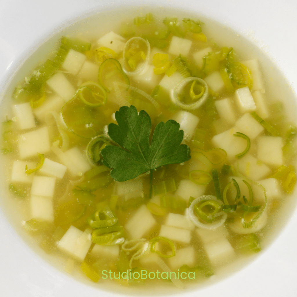 Nutritious Leek Soup