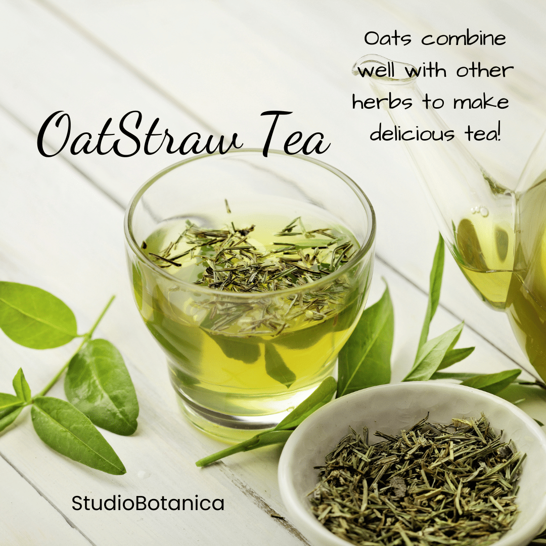 Studio Botanica Healthy Alternatives For Busy Life studio-botanica-healthy-alternatives-for-busy-life
