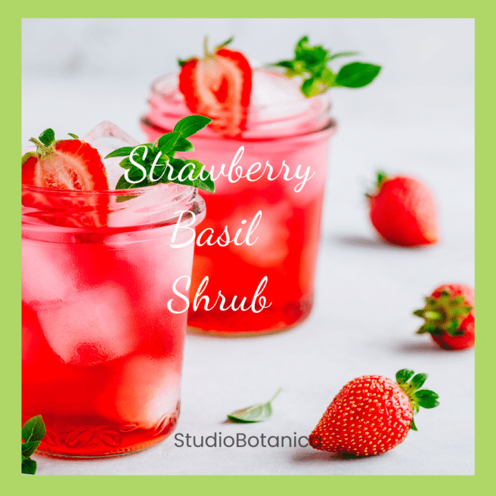 Strawberry Basil Shrub