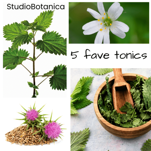 Sage Tea for sore throats