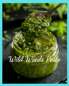 healthy Wild Weeds Pesto