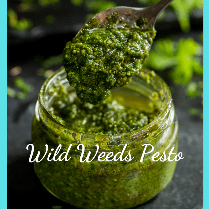 healthy Wild Weeds Pesto