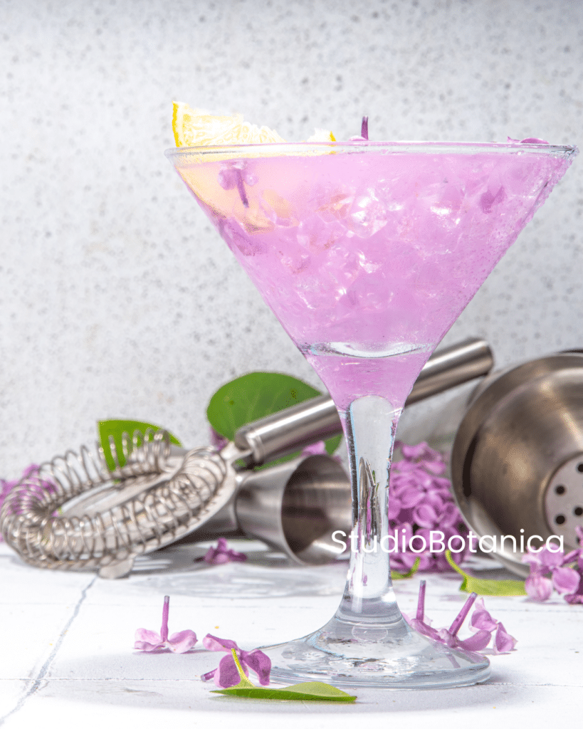 Lilac Recipes