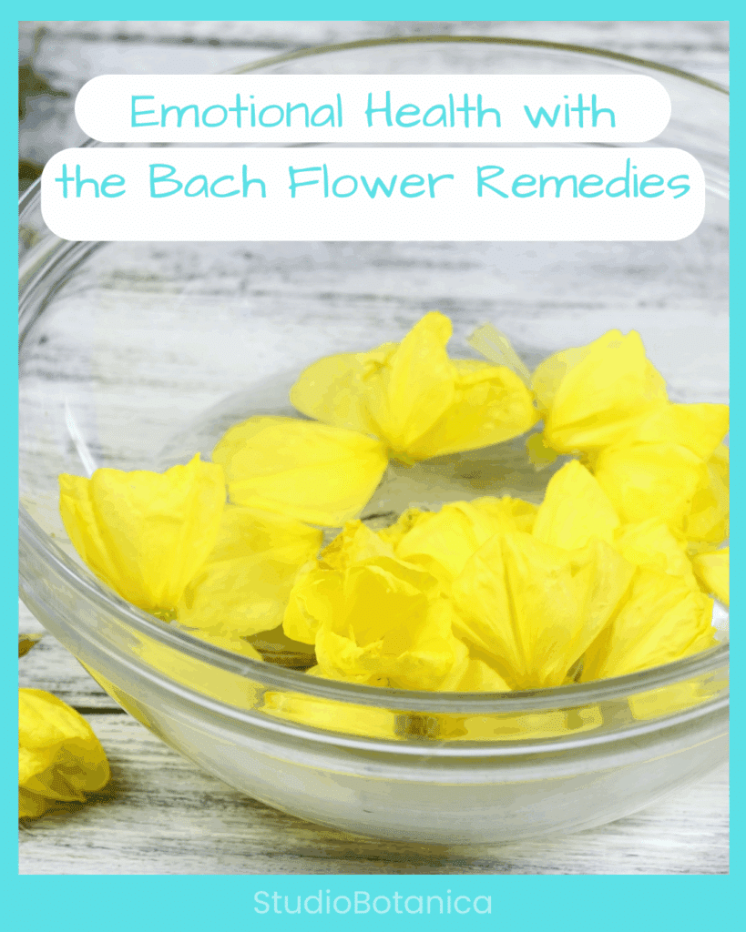 emotional health healing Bach Flower remedies