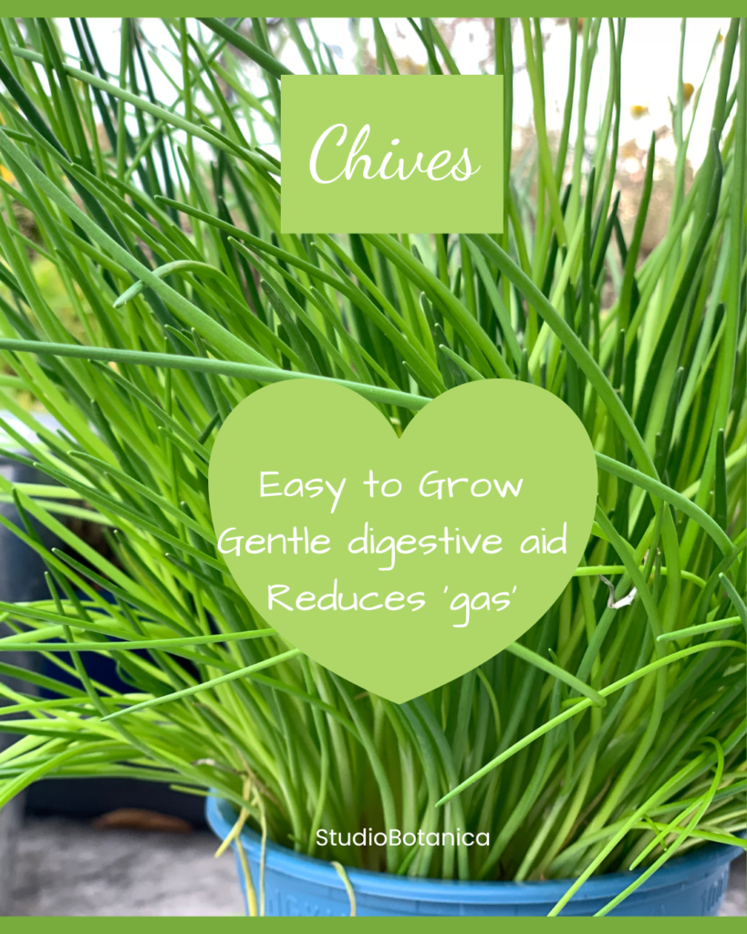 Chives Easy recipes