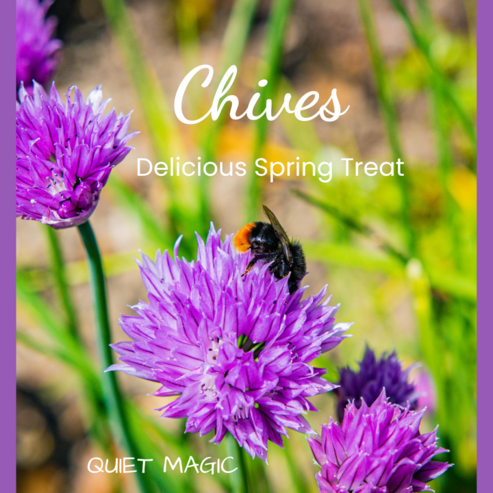 Chives Benefits