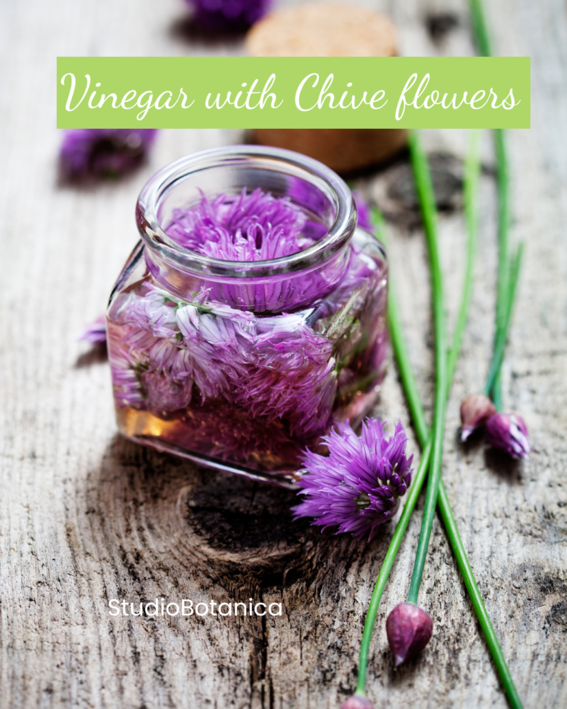 Chives VInegar Chives Benefits