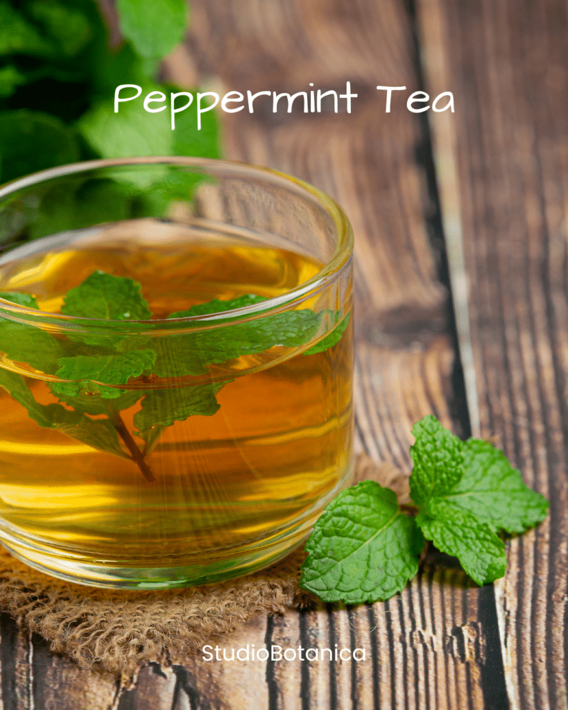 Peppermint Benefits Tea