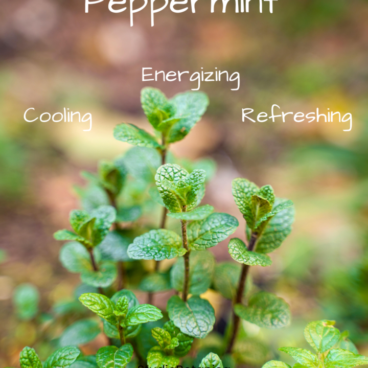 Peppermint
