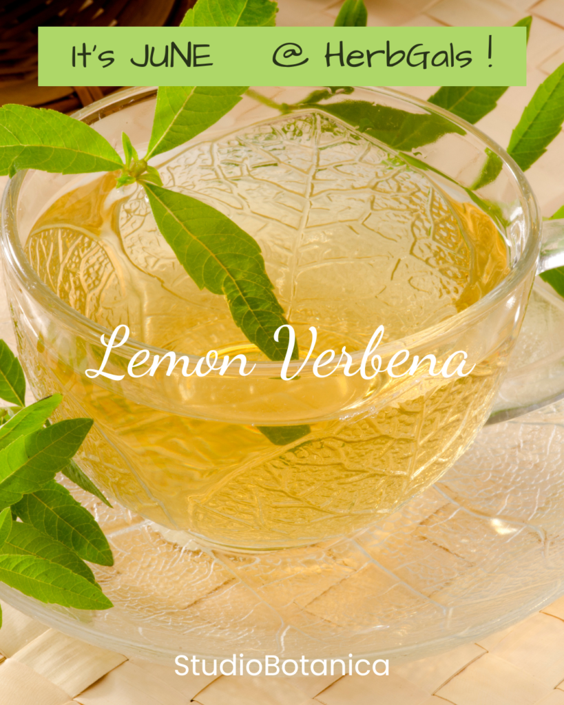 Lemon Verbena Benefits