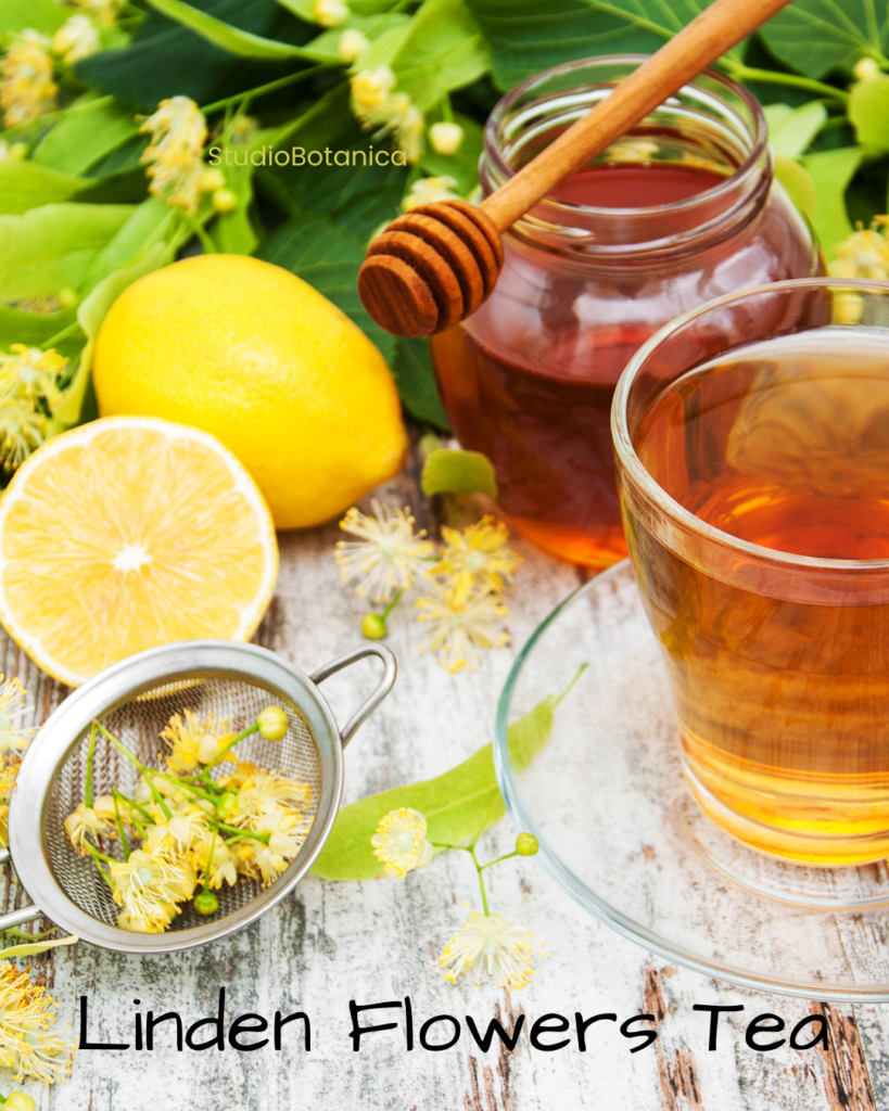 Linden Flowers Herbal Iced Tea recipes