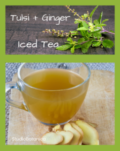Herbal Iced tea recipes Tulsi Ginger