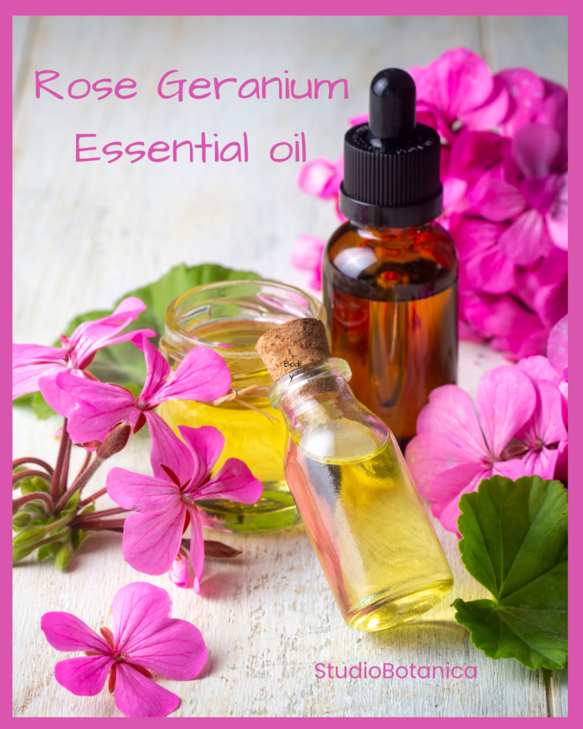 Natural Pest Repellents and Rose Geranium essential oils